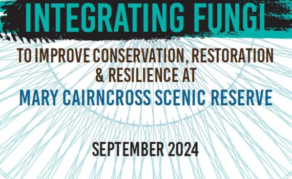 Cover: Integrating fungi into biodiversity research & monitoring to improve conservation, restoration & resilience outcomes at Mary Cairncross Scenic Reserve