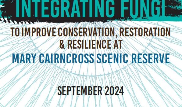 Cover: Integrating fungi into biodiversity research & monitoring to improve conservation, restoration & resilience outcomes at Mary Cairncross Scenic Reserve